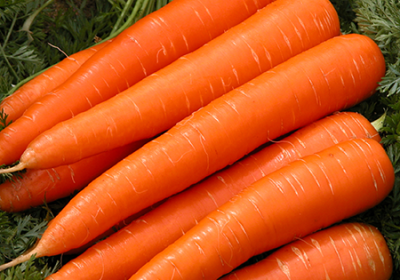 Carrot-Carrier-Oil-(Macerated)